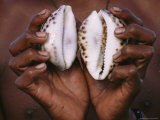 Buy Cowrie Shells in the Hands of a Moken Tribesman at AllPosters.com