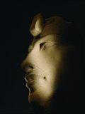 A Statue of Akhenaten Lost in Shadow