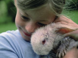 A Young Girl Holds a Bunny That was Dyed Pink for Easter