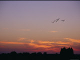 Birds Fly High over the Australian Landscape at Twilight
