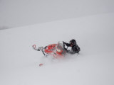 Buy A Man Turns Sharply in Deep Powder During a Snowstorm at AllPosters.com