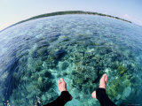Buy A Diver Explores the Coral Reef Surrounding Bunaken Island at AllPosters.com