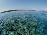 Buy A Wide-Angle Shot of the Coral Reef off Bunaken Island at AllPosters.com