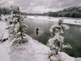 A Fisherman Tries His Luck in the Yellowstone River