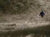 Buy Hiker in the Tall Grass at AllPosters.com