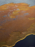Buy Aerial View of Boggy Tundra at AllPosters.com
