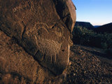 A Petroglyph of a Horned Animal on a Large Rock