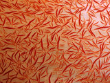 Buy A Close-up View of a Soft Coral at AllPosters.com