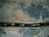 Buy Stones Fill a Crack in a Large Rock at AllPosters.com