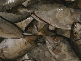 Buy A Crate Full of Fish Await Buyers at a Market in Australia at AllPosters.com
