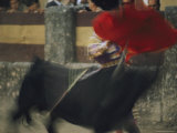 Buy Panned View of a Bullfight at AllPosters.com