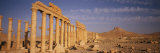 A View of the Ruins of the Palmyra Great Colonnade