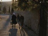 A Woman and Her Donkey Walk Down a Street in Pyrgi, Greece