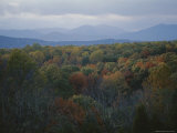 An Elevated View of Autumn Foliage and Distant Mountains