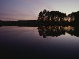 Buy Scenic View of a Still Body of Water and Reflected Trees at Twilight at AllPosters.com