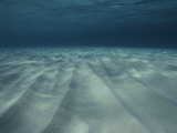 Buy Current-Sculpted Ripples in the Sandy Sea Floor off of Grand Cayman at AllPosters.com