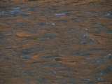 A View of the Colorado River Looking Choppy
