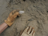 Arrowheads Being Uncovered on the Side of a Cliff Photographic Print