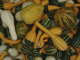 Buy An Assortment of Gourds at AllPosters.com