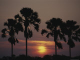 Sunset on Shire River