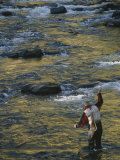 Fisherman in Creek