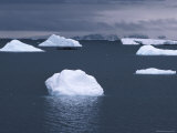Buy Icebergs off the Coast of the Antarctic Peninsula Near Hope Bay at AllPosters.com