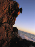 Buy A Female Climber Scales a Rock Near the Pacific Ocean at AllPosters.com