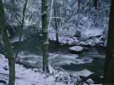 Buy A Creek Rushes by in a Snow-Covered Forest at AllPosters.com