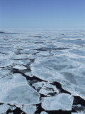 An Elevated View of Broken Pack Ice in the Gulf of St. Lawrence