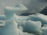 Buy Icebergs in Lago Gray at AllPosters.com