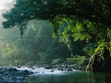 A River Flows Through a Northern Sierra Madre Natural Park Rainforest
