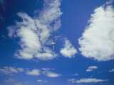 A Shy Albatross Flies in Blue Skies over the Continental Shelf.The Species is Considered Vulnerable