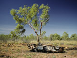 Buy An Old Wrecked Car in the Australian Outback at AllPosters.com