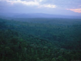 An Aerial View of the Takalik Abaj Area of Guatemala