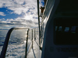 A Whale Watching Boat Heading out to Calm Seas
