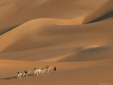 A Tuareg Tribesman Leads His Camels Through the Dunes of the Sahara