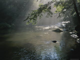 Buy Morning Mist Lifts off the Tellico River at AllPosters.com