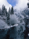 Snow-Covered Trees Reflected on the Surface of the Merced River