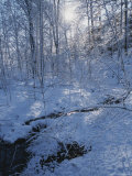 Buy Black Hills Regional Park, Winter View with Snow at AllPosters.com