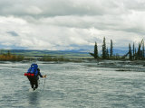 Buy Man Carrying Backpack Crosses River in Denali National Park at AllPosters.com