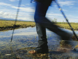 Buy Man Wearing Gaiters Crosses Stream in Denali National Park at AllPosters.com