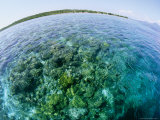 Buy Fish-Eye View of Clear Water over Reef off of Bunaken Island at AllPosters.com
