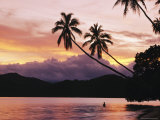 Buy Palms, Trees, and Bather Silhouetted at Sunrise at AllPosters.com