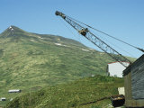 An American Bald Eagle Nest Built in the Nook of a Crane