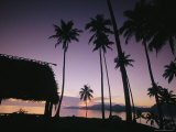 Buy Palm Tees and Hut Silhouetted against Lavender Sea and Sky at Sunrise at AllPosters.com