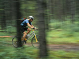 Buy Panned View of a Cyclist Riding Along a Path Through Woods at AllPosters.com