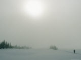 Buy Lone Skier in a Snow Covered Landscape under Fog-Obscured Sun at AllPosters.com
