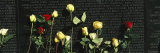 Roses are Left at the Vietnam Veterans Memorial