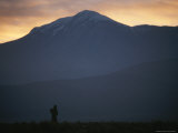 Aymara Woman Carries Firewood Through the Foothills of the Andes