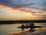 Buy Sunset on Floridas Gulf Coast at AllPosters.com